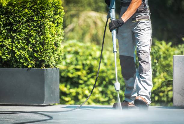 Best Patio and Deck Pressure Washing  in Pollock Pines, CA