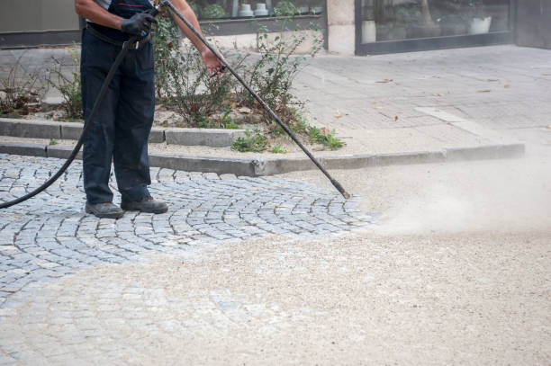 Best Driveway Pressure Washing  in Pollock Pines, CA
