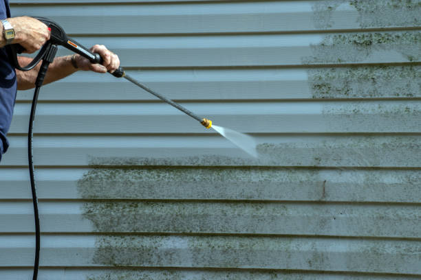 Best Sidewalk and Walkway Cleaning  in Pollock Pines, CA
